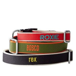 Fashion for your Fido