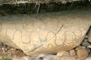 One of the many large boulders with scroll carvings at the Hill of Tara